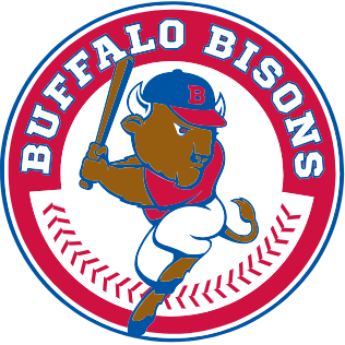 Read more about the article Buffalo Bisons