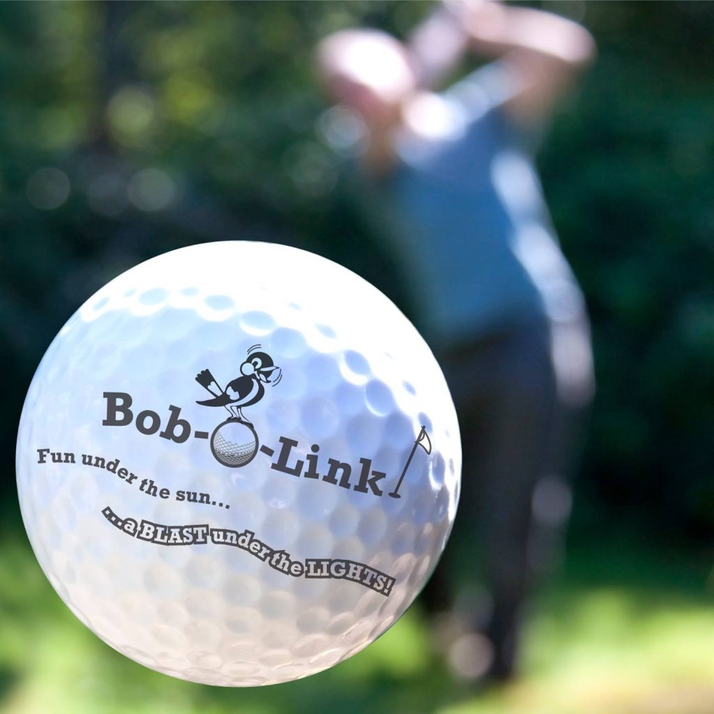 Read more about the article Bob-O-Link