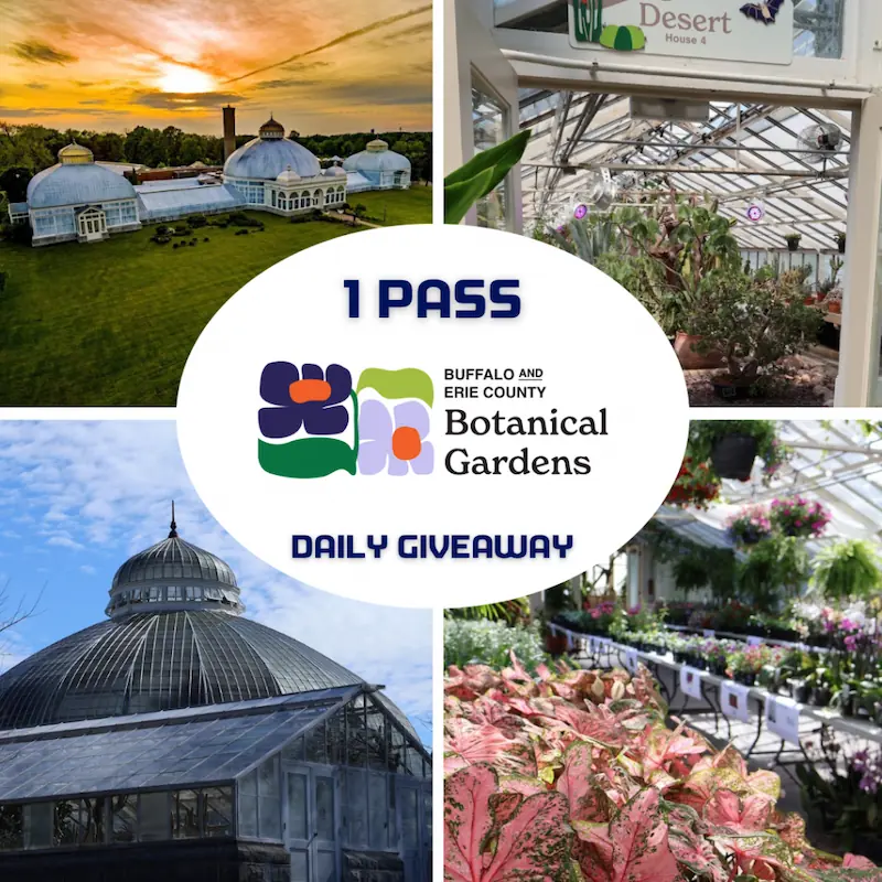 Read more about the article April 4th