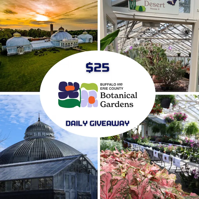 Read more about the article June 6th