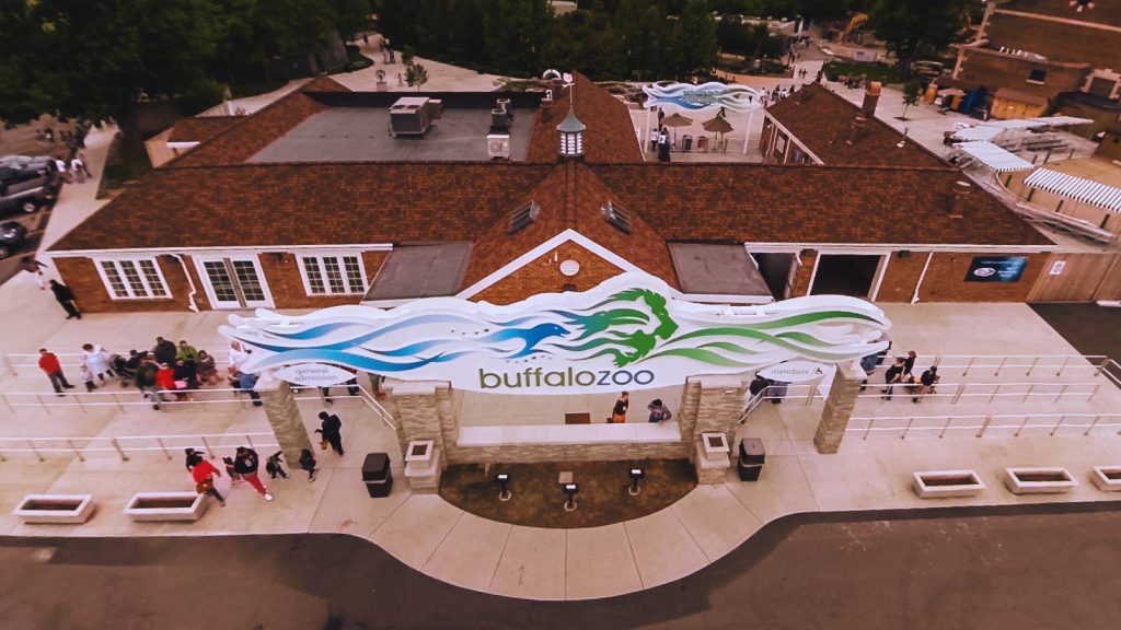 Read more about the article Buffalo Zoo