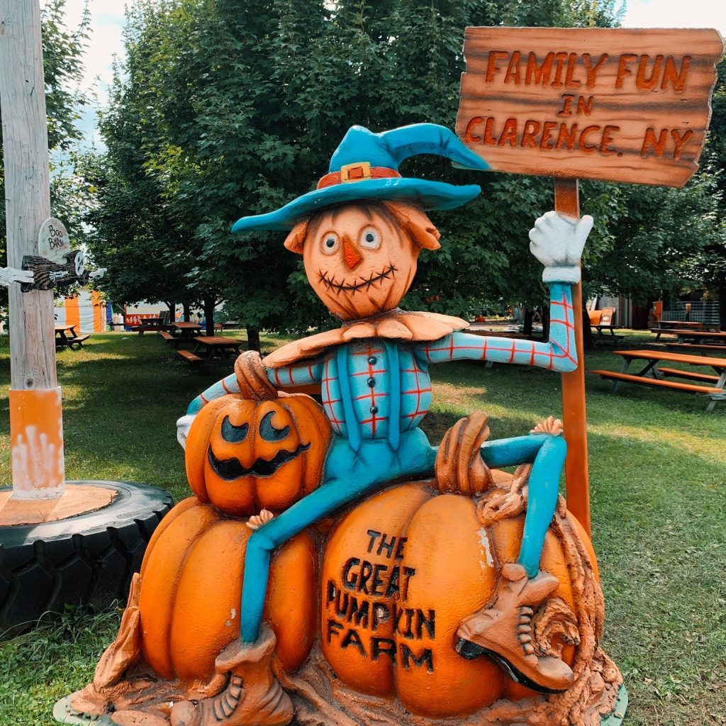 Read more about the article The Great Pumpkin Farm