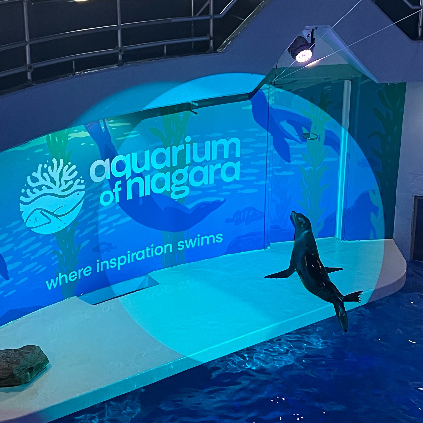 Niagara Aquarium