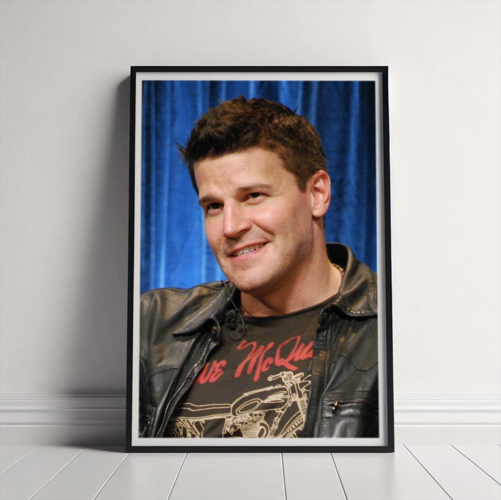 Read more about the article David Boreanaz