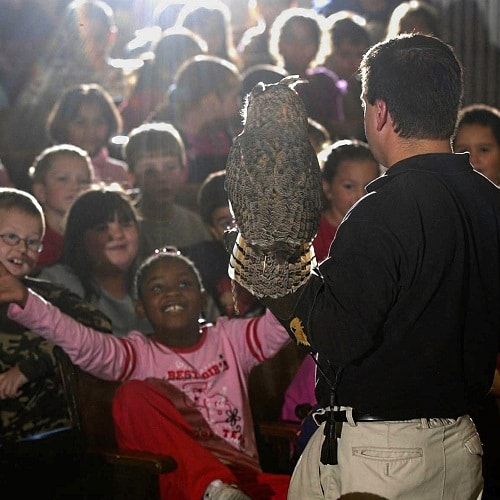 Read more about the article Hawk Creek Wildlife Center, Inc.