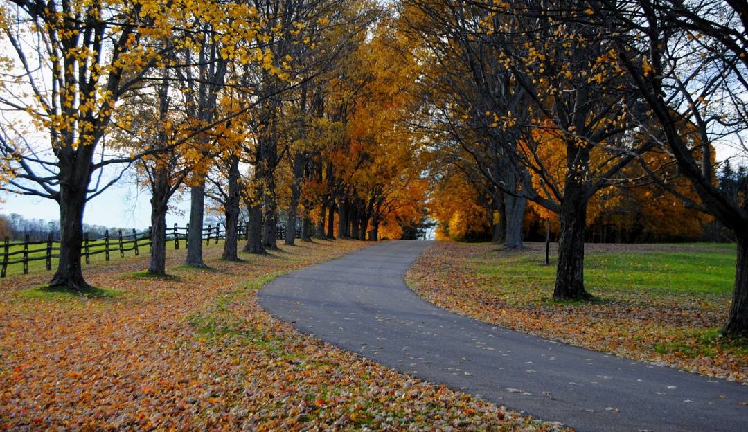 Knox Farm State Park