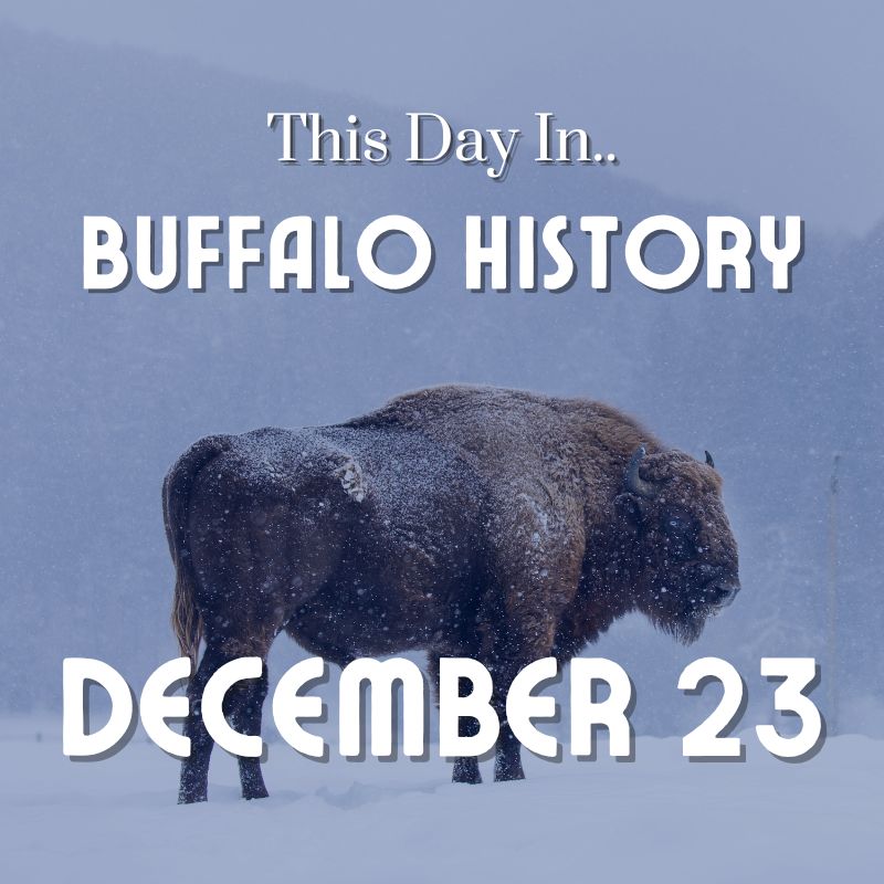 Buffalo's Deadliest Storm Begins