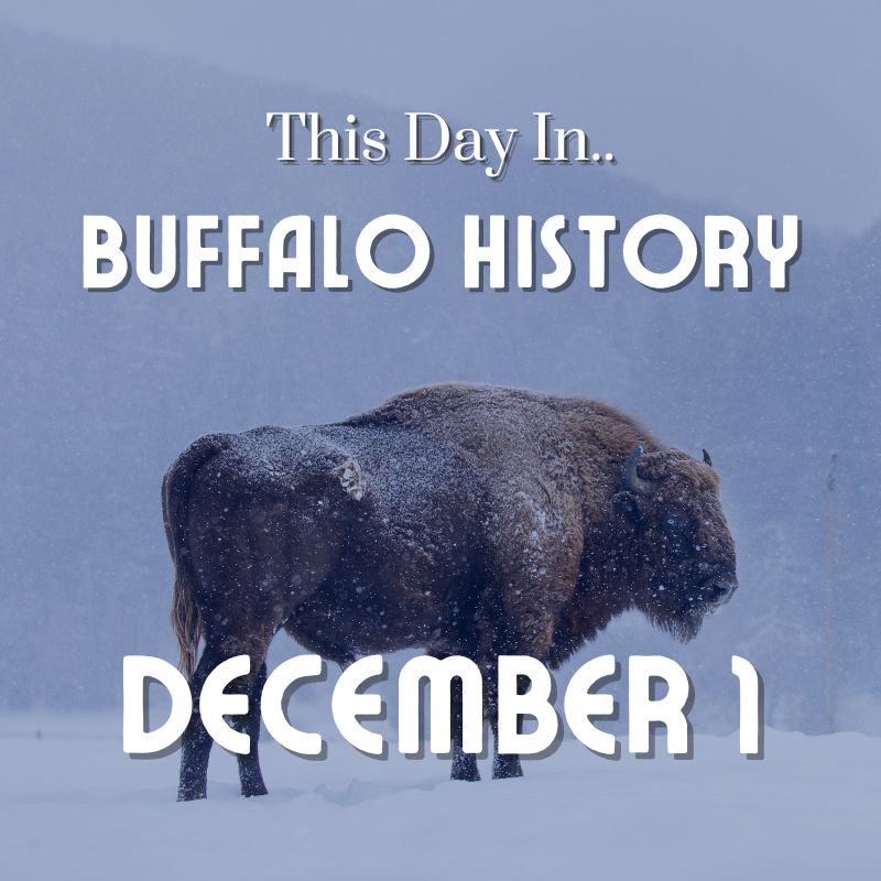 Read more about the article On This Day December 1 1905