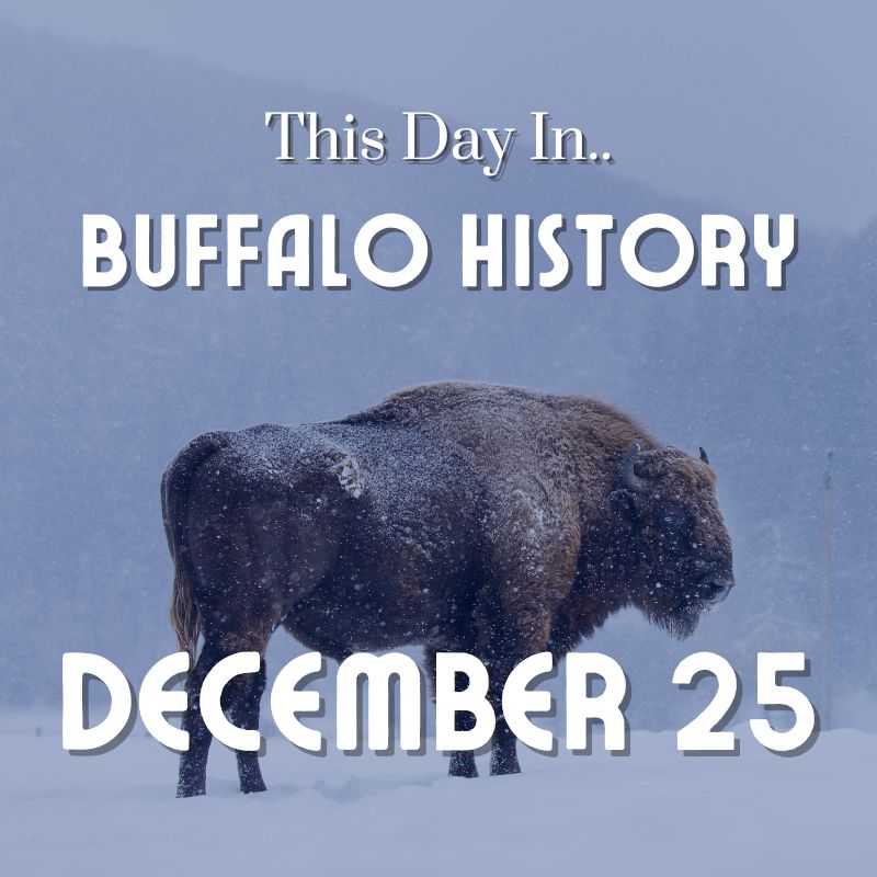 Buffalo Stockyards are Founded