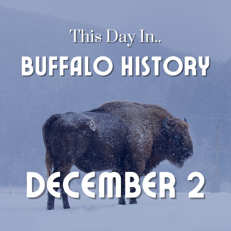 Read more about the article On This Day December 2 1990