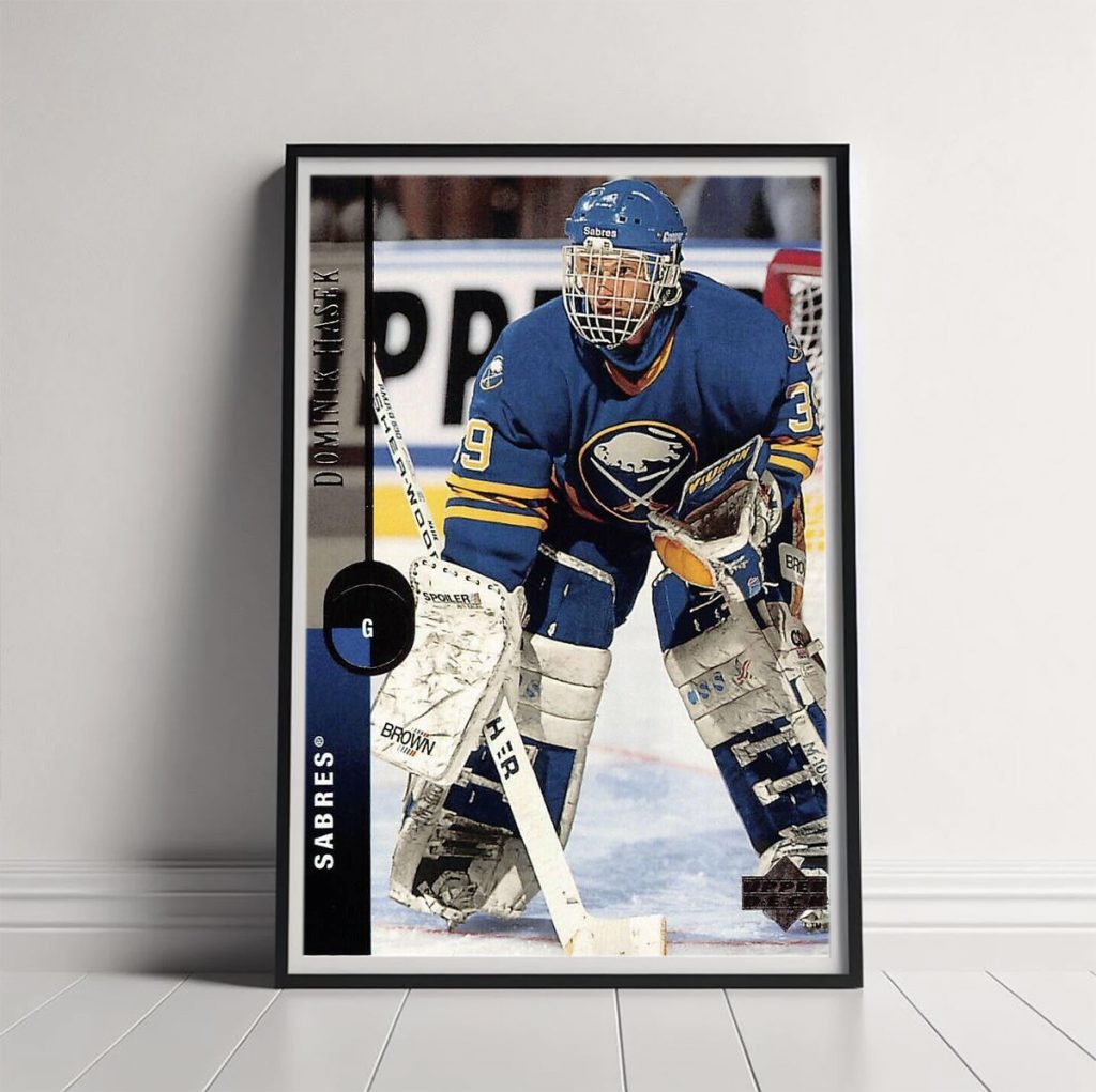 Read more about the article Dominik Hašek