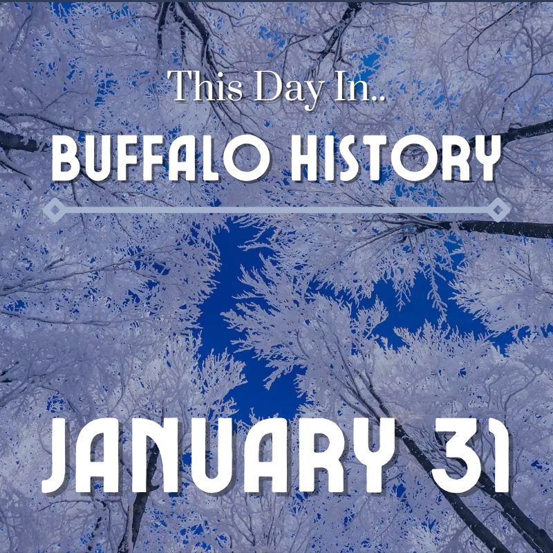 Read more about the article The Buffalo Bills fall to the Dallas Cowboys, losing Super Bowl XXVII