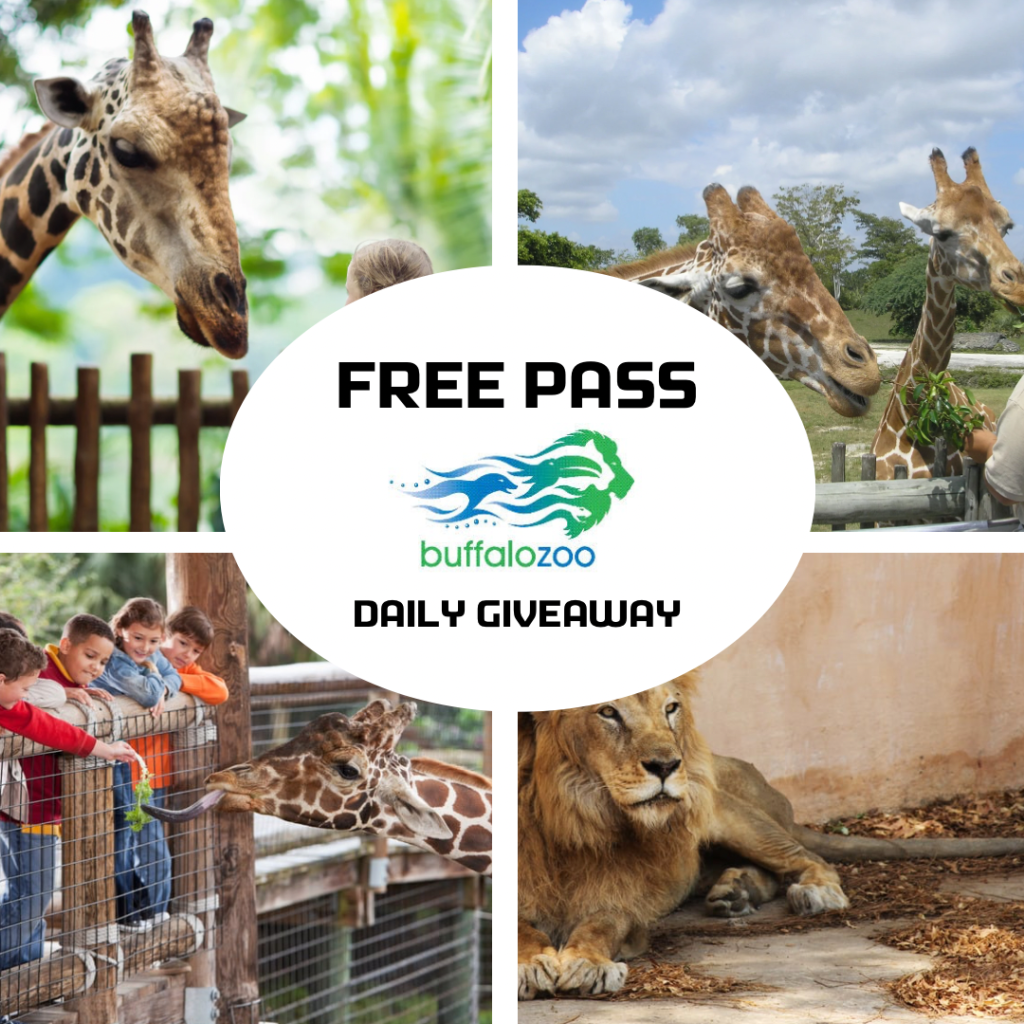 Read more about the article February 28th