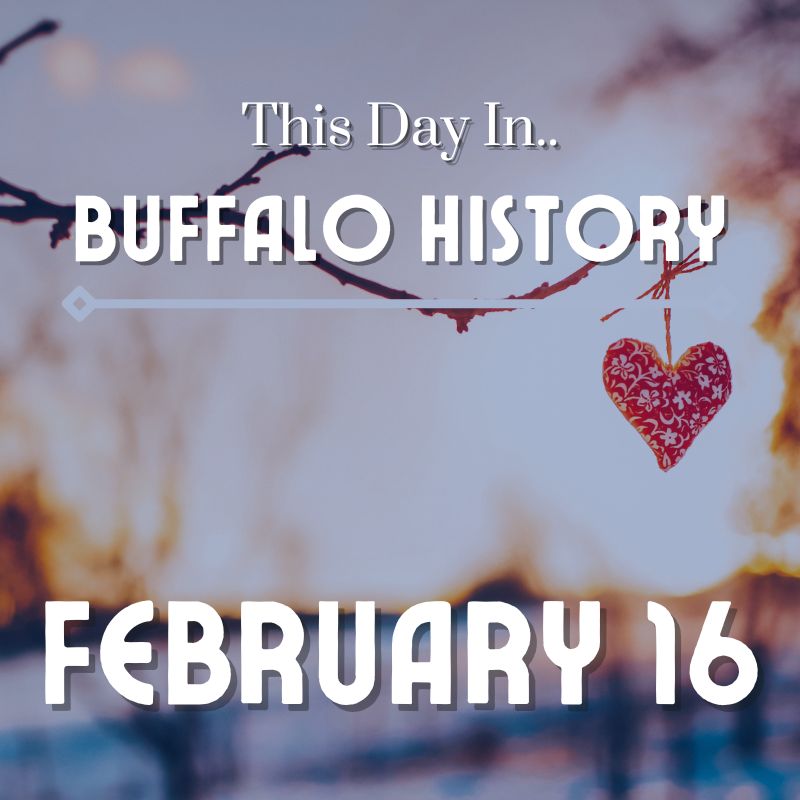 Read more about the article Neil Young & Crazy Horse Perform with Sonic Youth & Social Distortion