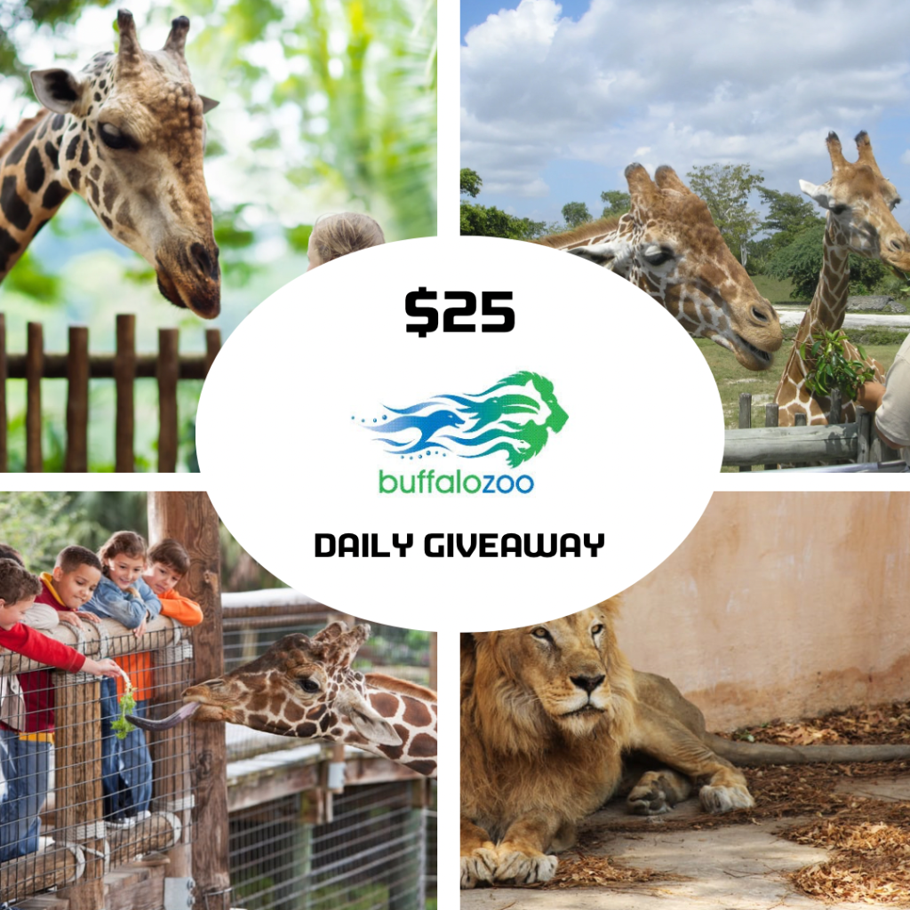 Read more about the article March 21st