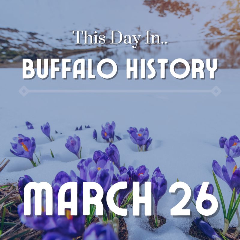 Read more about the article Echo & the Bunnymen Play at Buff State