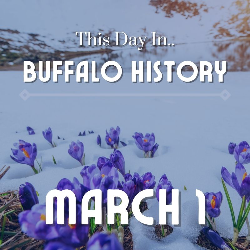 Read more about the article Joel Performs at Kleinhans