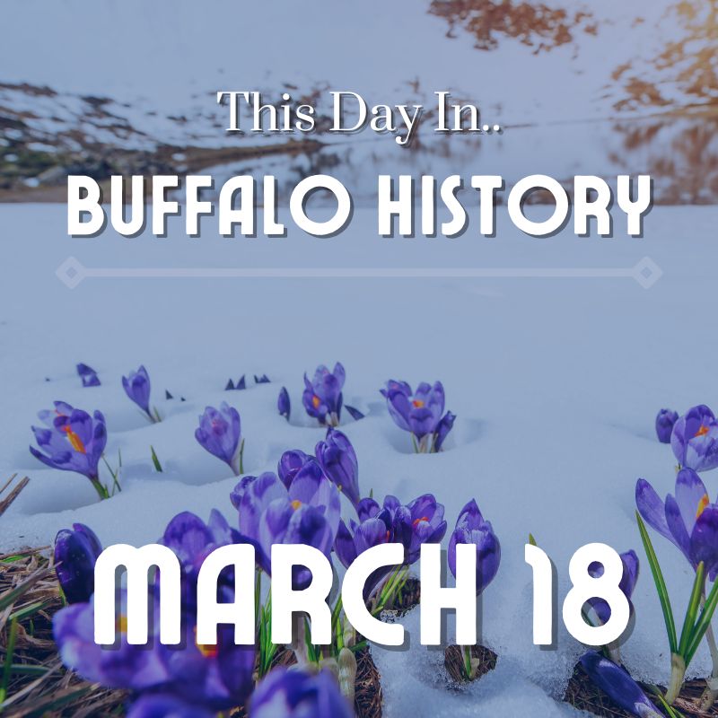 Read more about the article Blue Oyster Cult and Jimmy Buffett Perform Same Night, Different Venue