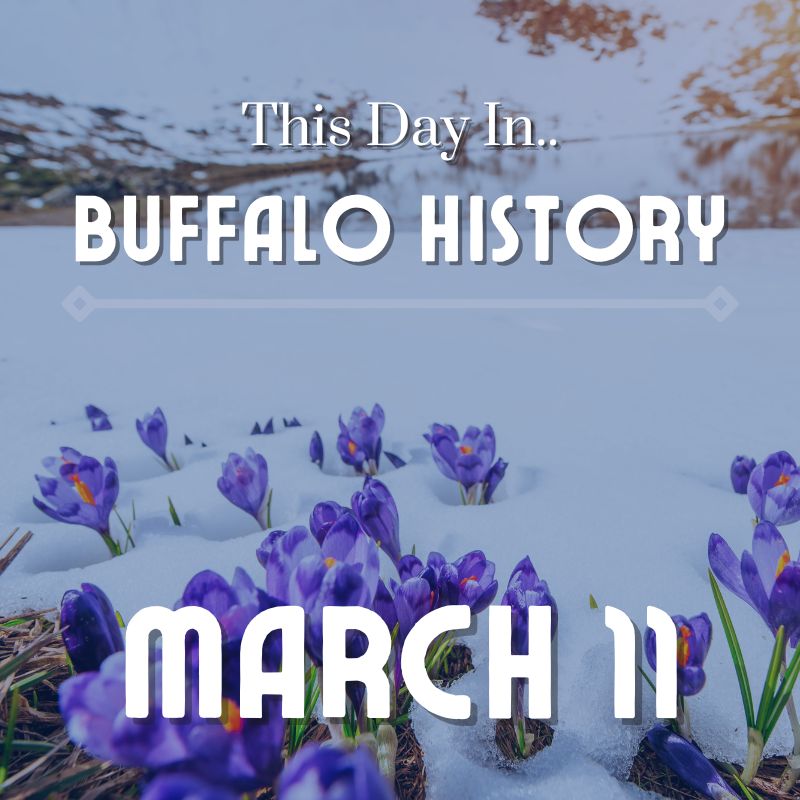 Read more about the article Fugazi Plays at Buff State