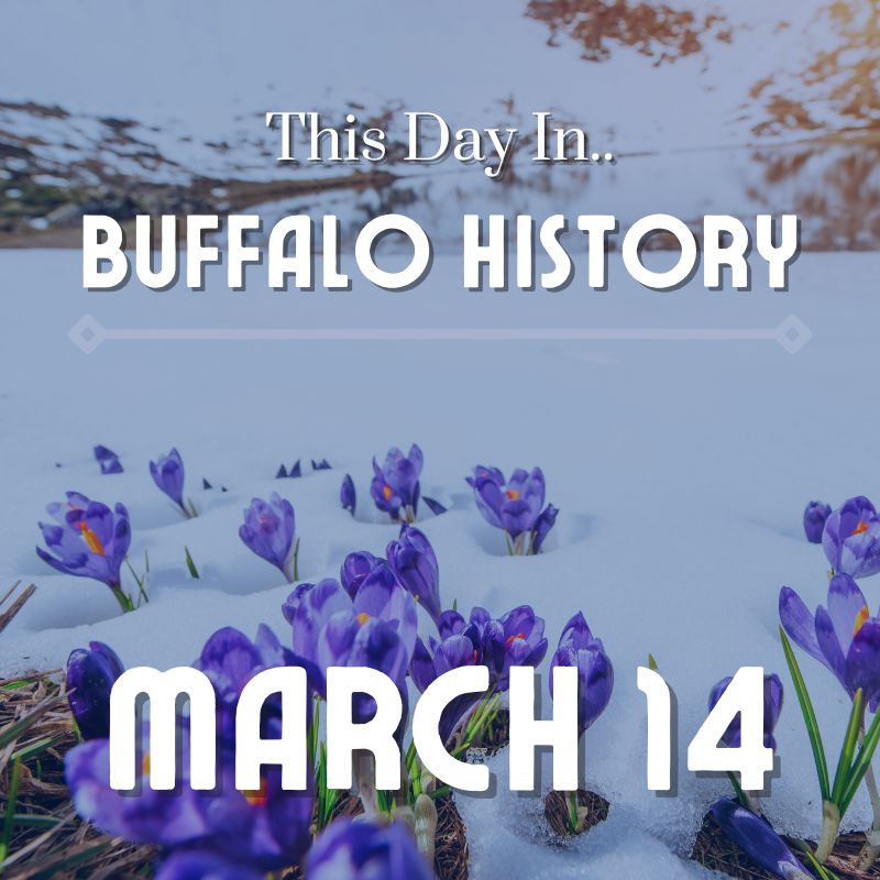 Read more about the article The B-52’s Perform at McVan’s