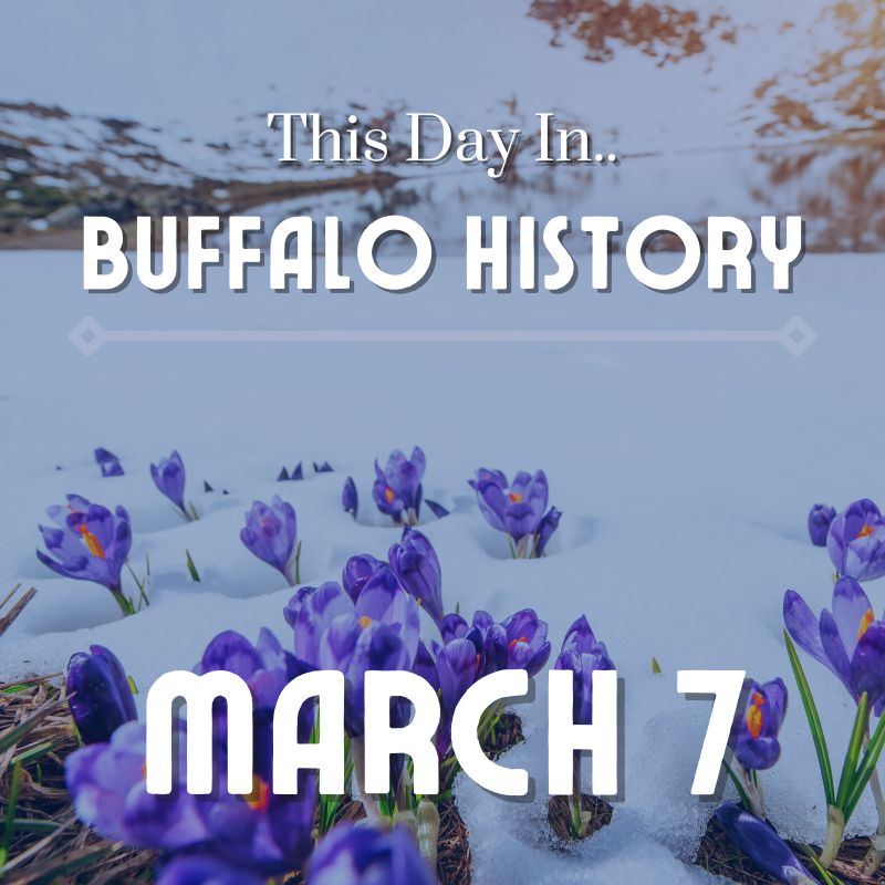 Read more about the article Journey Plays at New Century Theatre