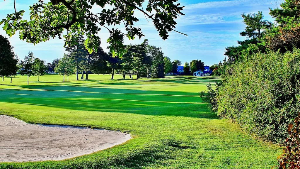 Read more about the article The Country Club of Buffalo