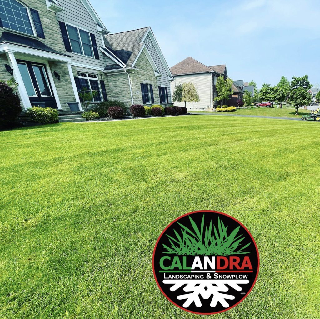 Read more about the article Calandra Landscaping and Snowplow
