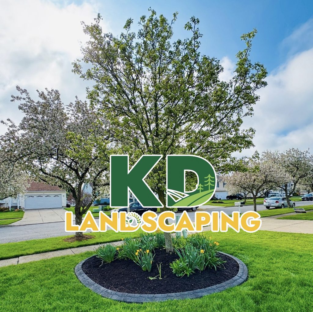 Read more about the article KD Landscaping and Snow Plowing