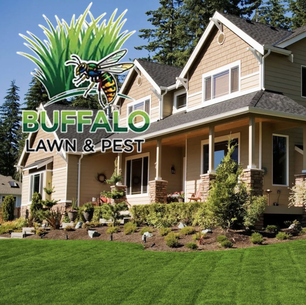 Read more about the article Buffalo Lawn & Pest Services