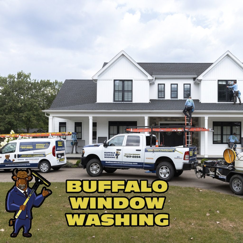 Read more about the article Buffalo Window Washing