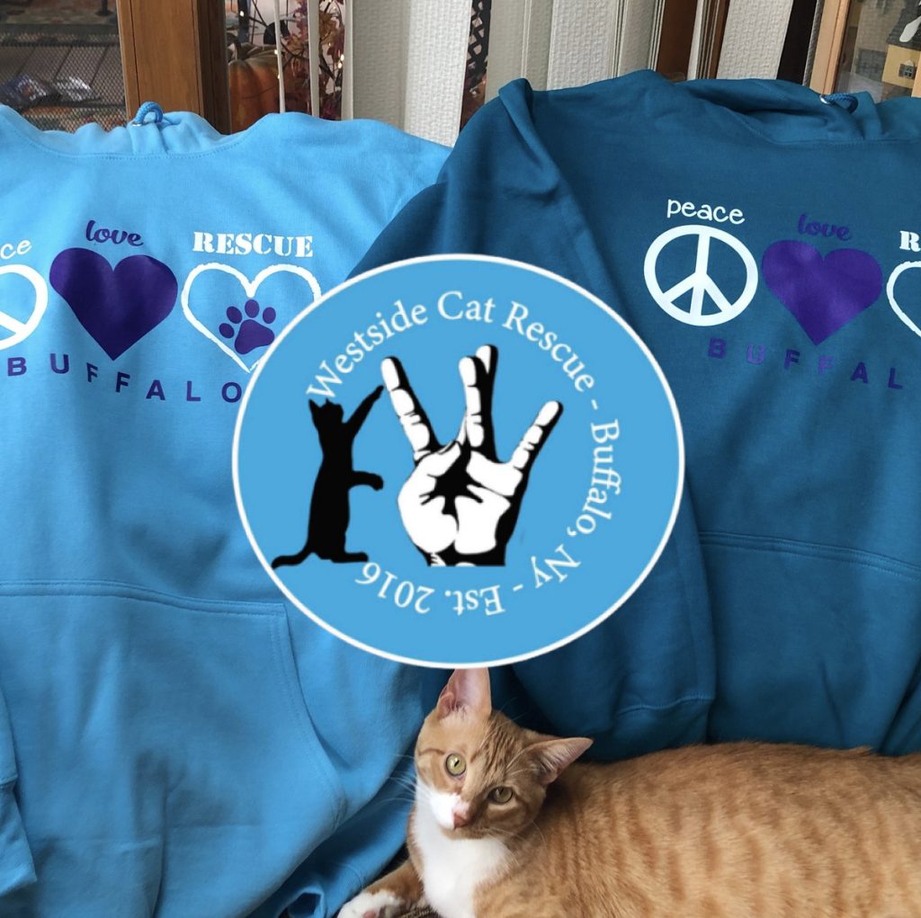 Read more about the article Westside Cat Rescue