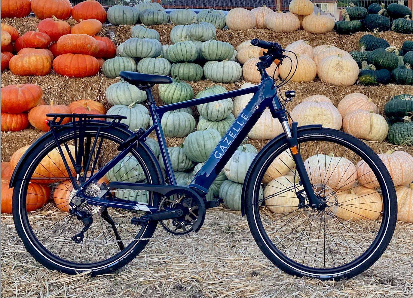 Bert's Bikes and Fitness