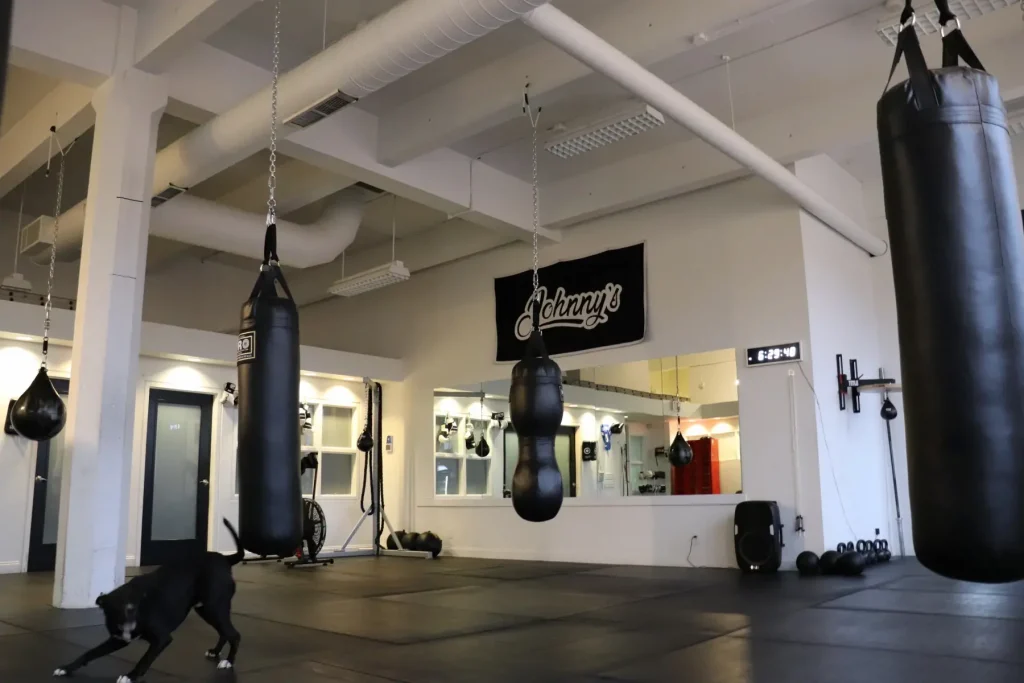 Read more about the article Johnny’s Boxing