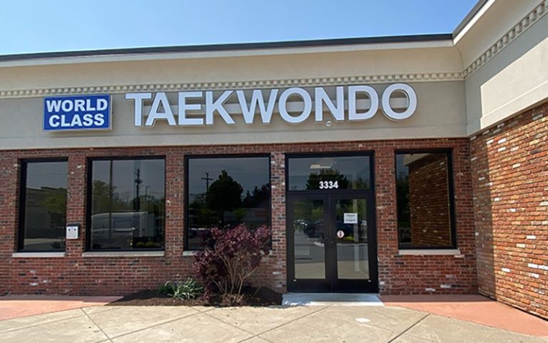 Read more about the article World Class Taekwando