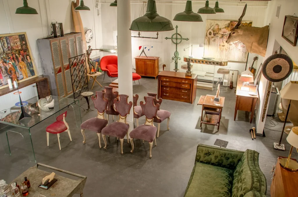 Read more about the article COOCOOU