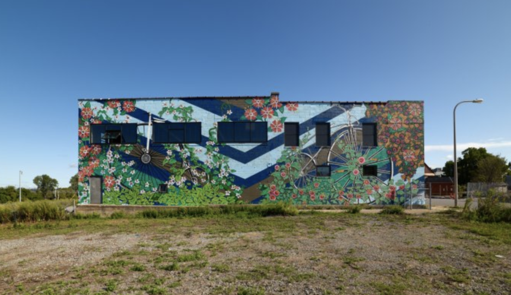 Read more about the article Shickluna Bikes