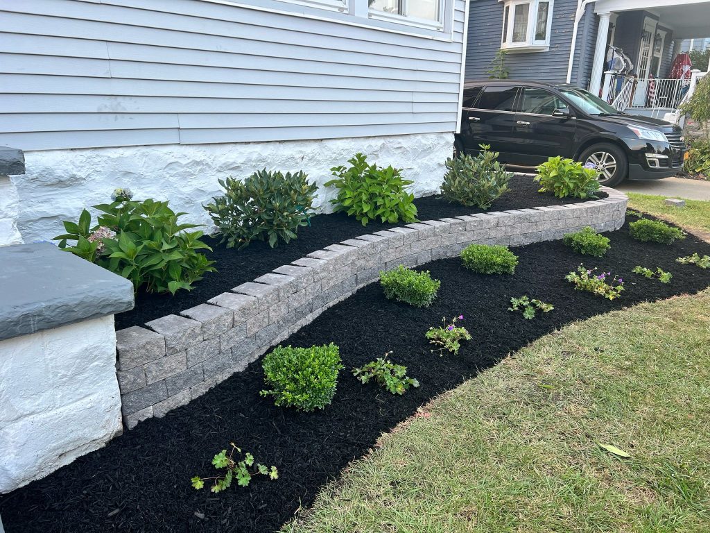 Read more about the article Soil and Seed Landscaping