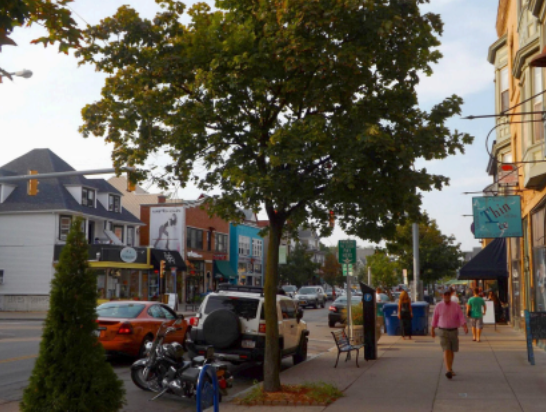 Read more about the article Elmwood Avenue Spotlight: The Street That Feels Like Buffalo